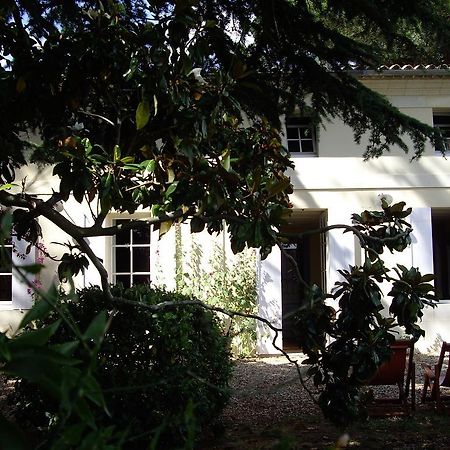 La Maison De PradierPugnac エクステリア 写真
